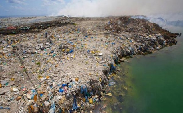 Svake godine plastika ubije 1,5 milijuna ptica, riba, kitova, kornjača...