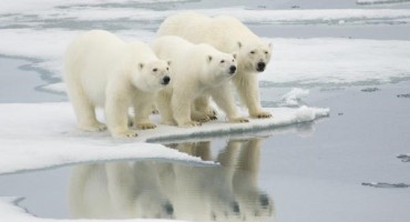 Preostalo nam je još vrlo malo vremena