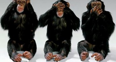 Novo istraživanje: Čak četvrtina sisavaca ubija mlade svoje vrste