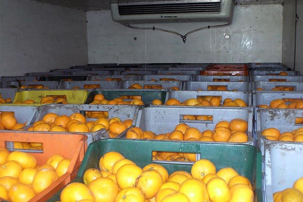 mandarine