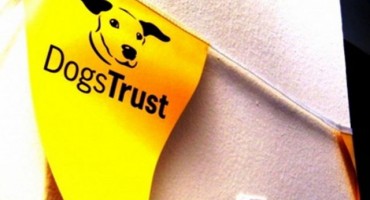 Program profesionalnog usavršavanja veterinara u kirurškim i vještinama anestezije