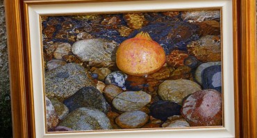 Marin Topić: Šipak u Neretvi