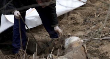 Izvučen leš bez glave, ruku i nogu