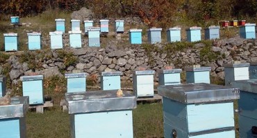 Certificiranje i brendiranje hercegovačkog meda