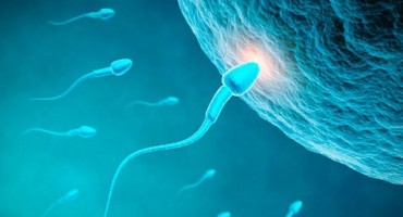 Kakve gaće nosite? Nakon ovoga ćete jako dobro promisliti