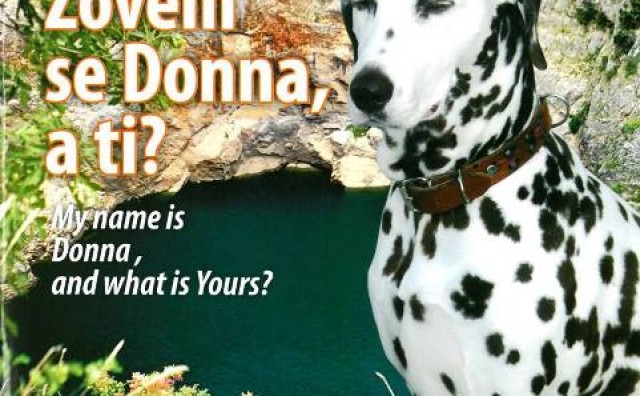 matica hrvatska, matica hrvatska čitluk, Izložba, knjiga