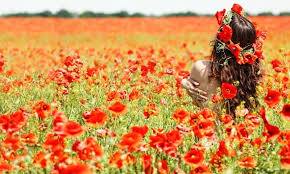 Katarina Zovko Ištuk