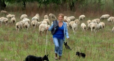 Magistra prava uživa u uzgoju 300 ovaca: Želim biti svoj gazda