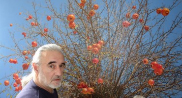 Marin Topić ponovo u svom slikarskom okruženju