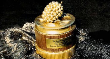 Cameron Diaz, Zlatna malina