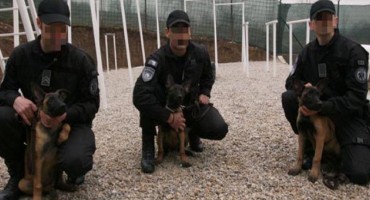 Tri mlada belgijska ovčara na obuci u SIPA-i