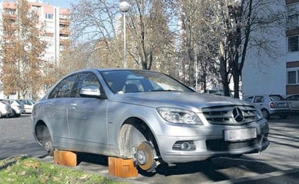 krađa navika, Tomislavgrad