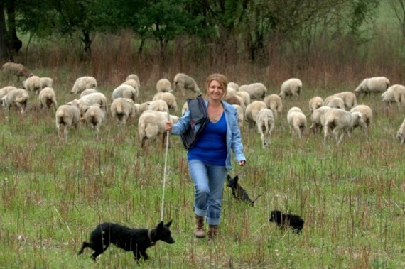 Magistra prava uživa u uzgoju 300 ovaca: Želim biti svoj gazda