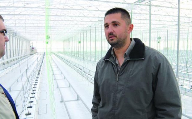 domovina, povratak u doomovinu, povratak u domovinu, proizvodnja rajčica