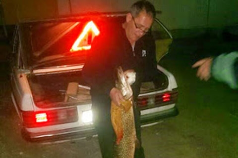 Ribolovac Nenad Hrstić iz Graba ulovio štuku od 9.80 kg