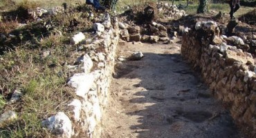 Ljubuški, iskapanja, borasi