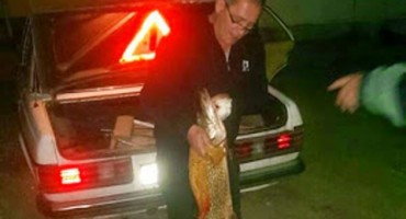 Ribolovac Nenad Hrstić iz Graba ulovio štuku od 9.80 kg 