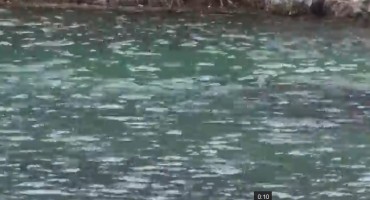 Široki Brijeg: Snimljena sirena u rijeci Lištici?