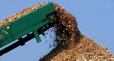 biomasa, drvna biomasa