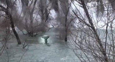 Najezda sirena u Hercegovini: Sirena na Kravicama kod Ljubuškog