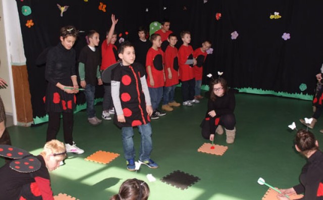 Los Rosales Mostar, Centar Los Rosales