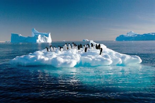 Rekordne 'vrućine': Antarktika imala najtopliji dan u povijesti
