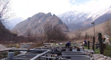 priče iz hercegovine, hodopisi, Dragan Marijanović