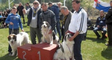 Kupres, Izložba, psi