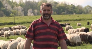 Na planinama ima posla: Fakultet napustio zbog čuvanja ovaca