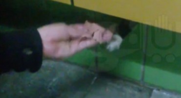 Čak pet godina hranio mačka koji je zapeo iza zida na stanici