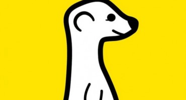 meerkat