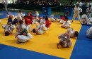 Judo klub Hercegovac, Sarajevo