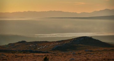 Dragan Marijanović, hodopisi, priče iz hercegovine