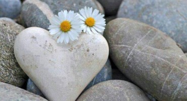 Katarina Zovko Ištuk, Katarina Zovko Ištuk, srce