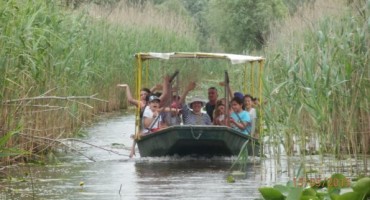 Mostar, cim, Hercegovina, mogorjelo kod čapljine, Počitelj, Hutovo blato, osnovna škola, Hutovo blato, nestanak