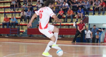 Zrinjski-Seljak