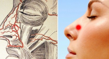 krv, krv iz nosa, za zaustavljanje krvarenja