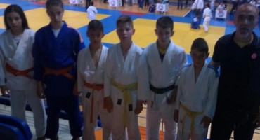 Judo klub Borsa, Judo