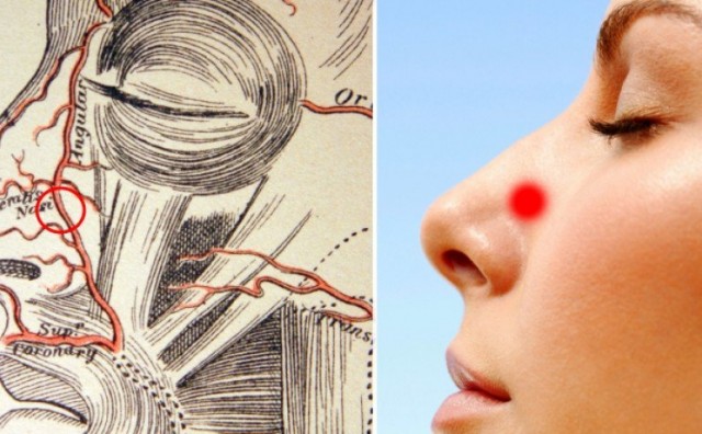 3 trika koji odmah zaustavljaju krvarenje nosa