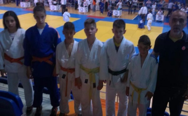 Judo klub Borsa, Judo