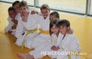 judo borsa polaganje