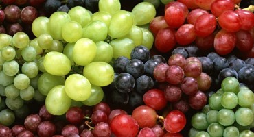 Ovako će bobičasto voće dulje ostati svježe