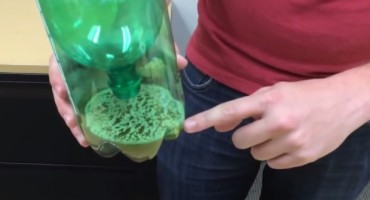 Riješite se komaraca ovim jednostavnim trikom