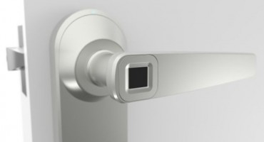 brave, pametna brava