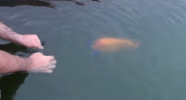 Kada je čovjek stavio ruku u vodu nije ni sanjao što će mu se dogoditi