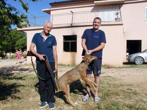 Čitluk: Dragan Dodig iz Gradnića s balkona svoje kuće ubio odraslu vučicu