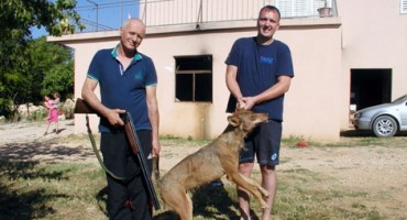 Čitluk: Dragan Dodig iz Gradnića s balkona svoje kuće ubio odraslu vučicu 