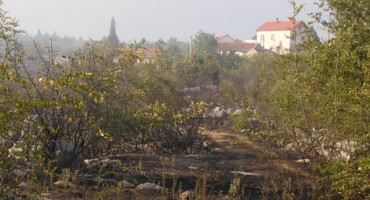 Čitluk, požar, vatrogasci