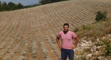 Martin Soldo, smilje, Posušje, smilje, ubrano smilje, poljoprivredna škola, smilje, ubrano smilje, smilje, ubrano smilje