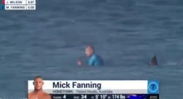 Mick Fanning, morski pas, napad morskog pasa, surfer